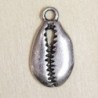 Breloque Coquillage Cauri - 20x12mm - Argenté foncé