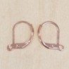 Boucles d'oreilles - Dormeuses - Acier inoxydable - Cuivre clair